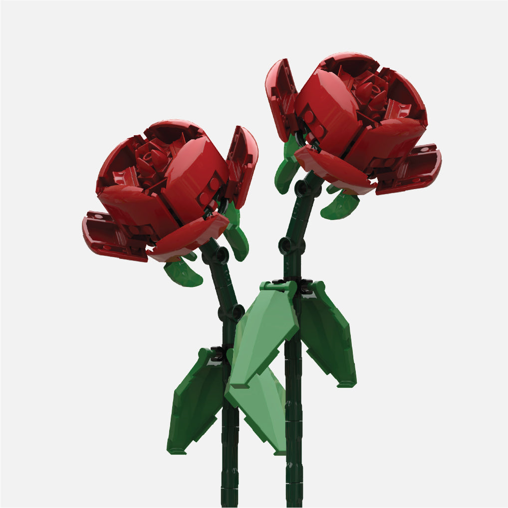 Build-it-Yourself Flowers Kits